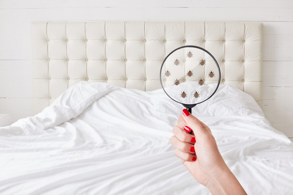¿Por qué es importante la limpieza de colchones para hoteles?