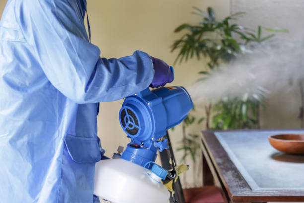 ¿Cómo preparar mi casa antes de fumigar?