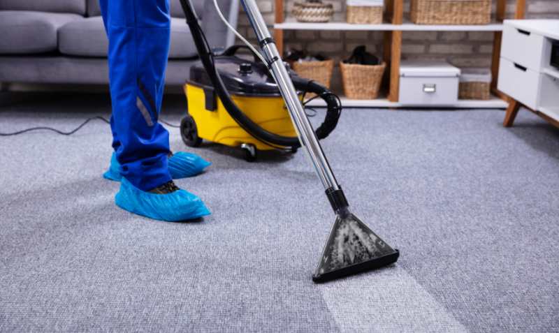 5 productos para limpiar alfombras